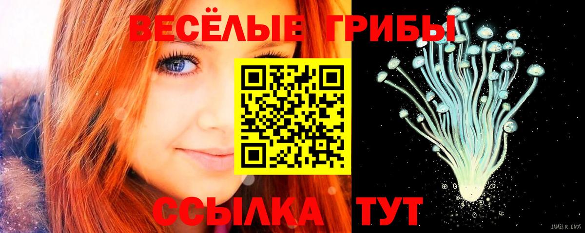 Славянск-на-Кубани  Псилоцибиновые грибы Psilocybine cubensis  Галлюциногенные грибы прущие грибы  Вход с VPN 